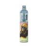 RandM Tornado 7000Puffs Disposable Vape