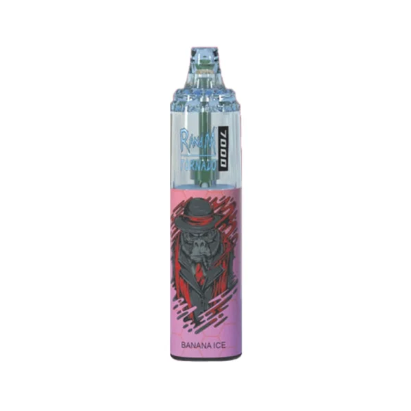 RandM Tornado 7000Puffs Disposable Vape